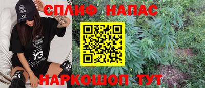 ALPHA PVP Ярославль