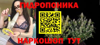ALPHA PVP Ярославль