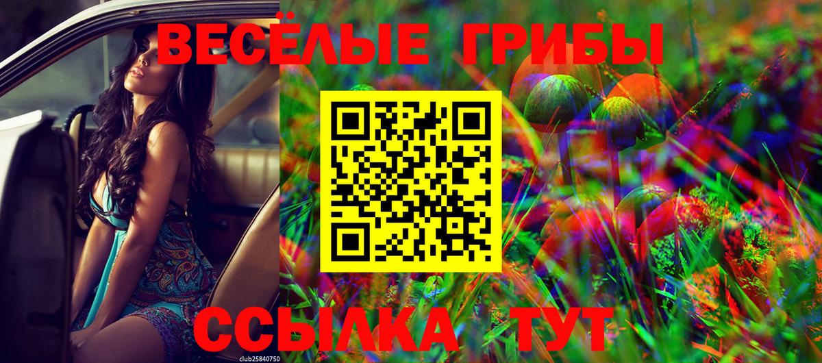 Галлюциногенные грибы Psilocybe Благодарный