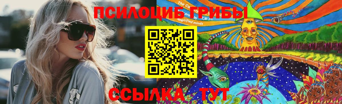 Благодарный  Псилоцибиновые грибы Magic Shrooms  Галлюциногенные грибы ЛСД  Вход с VPN 